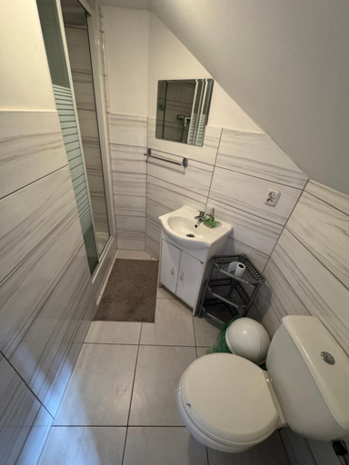Bathroom 5, Domek Jaskolka, Hajnówka
