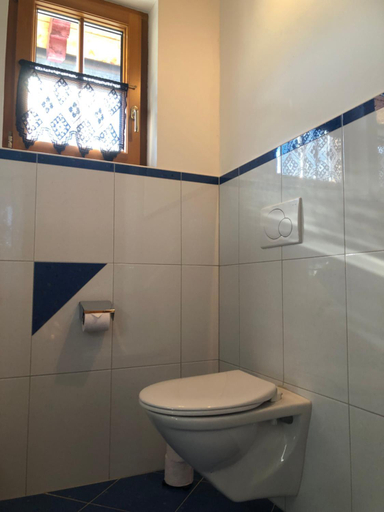 Bathroom 1, Schmiedlehnerhof, Liezen