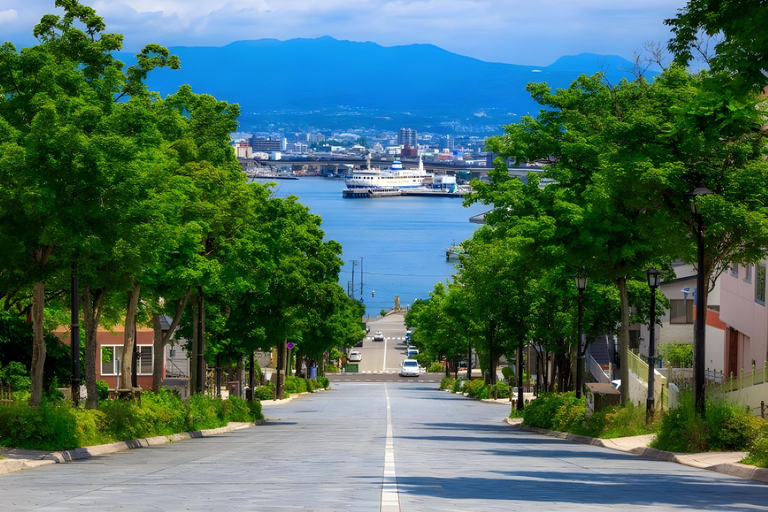 Others 5, Condominium View Mount Hakodate, Hakodate