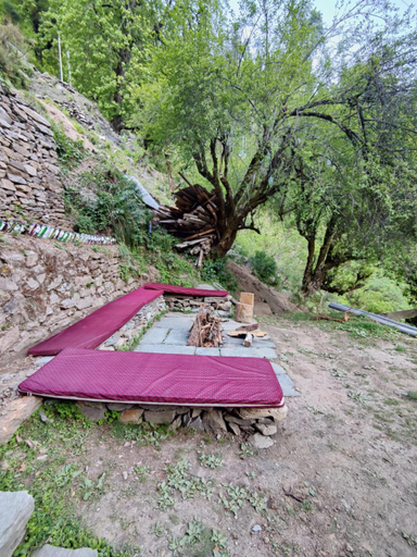Others 5, The Forest Pinnacle & Cafe , Sojha, Kullu