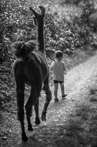 Others 2, La Ferme des Andes, Aveyron