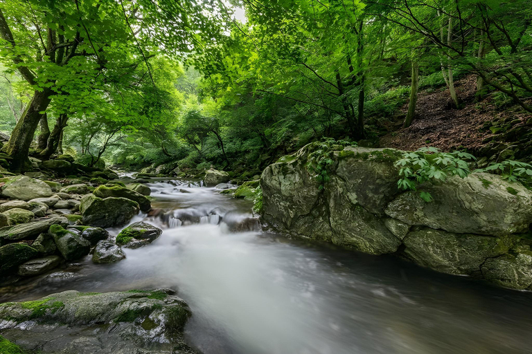 4, Gapyeong Krabi Valley N Spa Pension, Pocheon