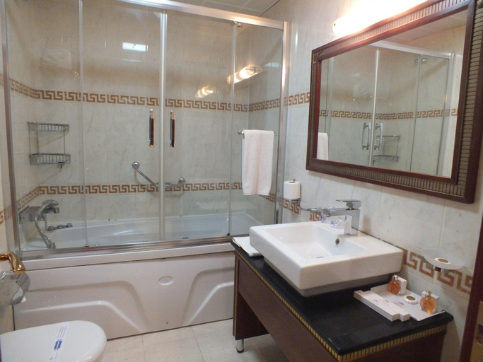 Bathroom 4, Grand Asiyan Hotel, Fatih