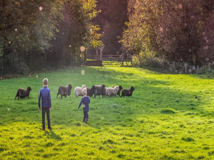 Others 4, Farmstay with Garden Views, Gulpen-Wittem
