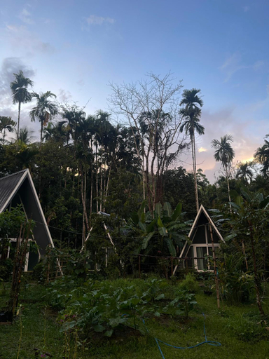 Others 5, Ample Forest Khao Sok Farmstay, Phanom