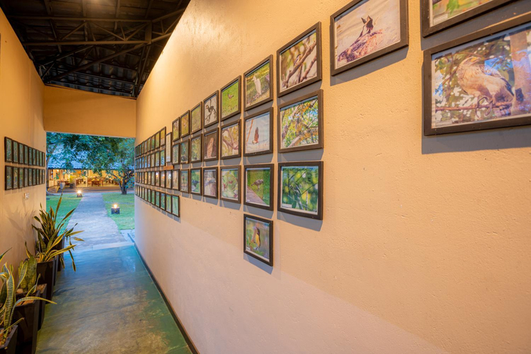 Public Area 4, Kassapa Lions Rock, Dambulla