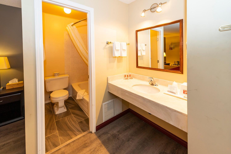 Bathroom 4, Econo Lodge Edson area, Division No. 14
