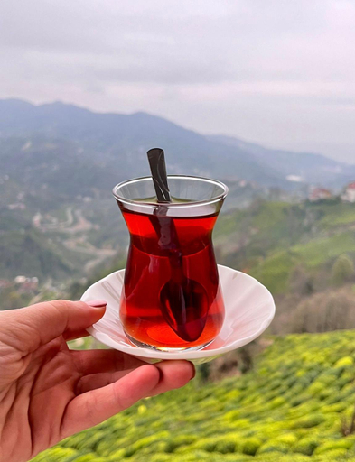 Food & Drinks 4, Ces bungalov, Ardeşen