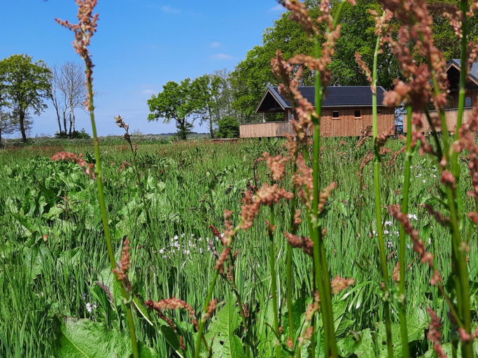 Others 4, Lodge by Dutch Meadows with Scenic Veranda, De Wolden