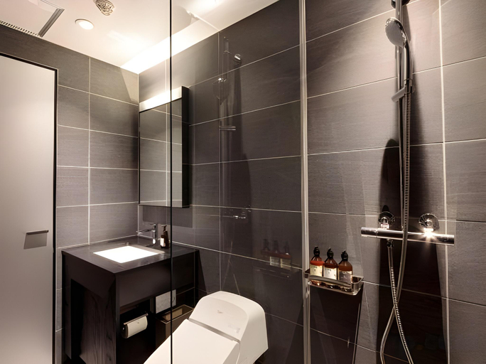 Bathroom 2, Ishitei furano, Furano