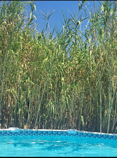 Sport & Beauty, Ecoutez les oiseaux Arrivee en toute liberte, Hérault