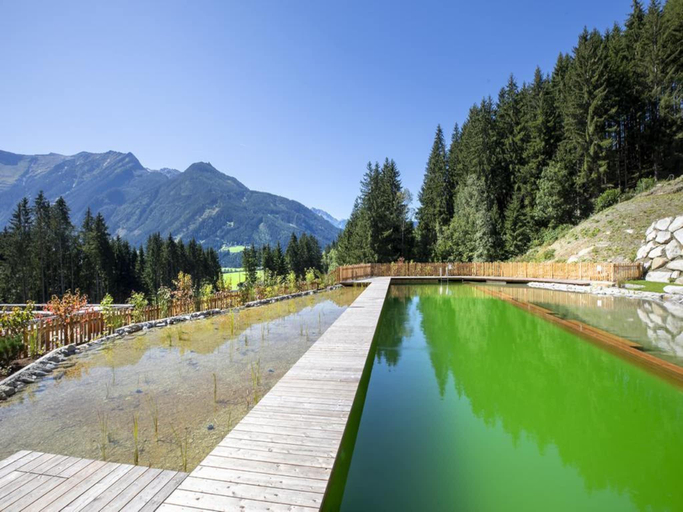 Sport & Beauty 2, Chalet near Wildkogel Arena, Zell am See