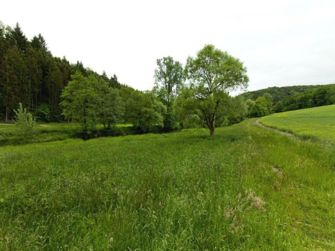 Others 5, Apartment with terrace and pool in the garden, Altenkirchen (Westerwald)