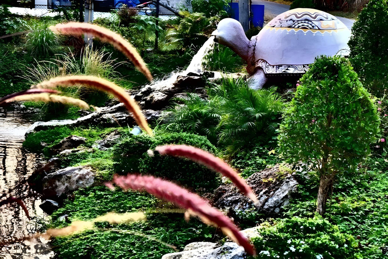Others 5, T.Tao Garden Home, Pak Chong