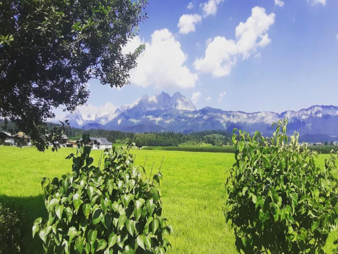 Others 3, Apartment in Leutasch near Ski Trails, Innsbruck Land