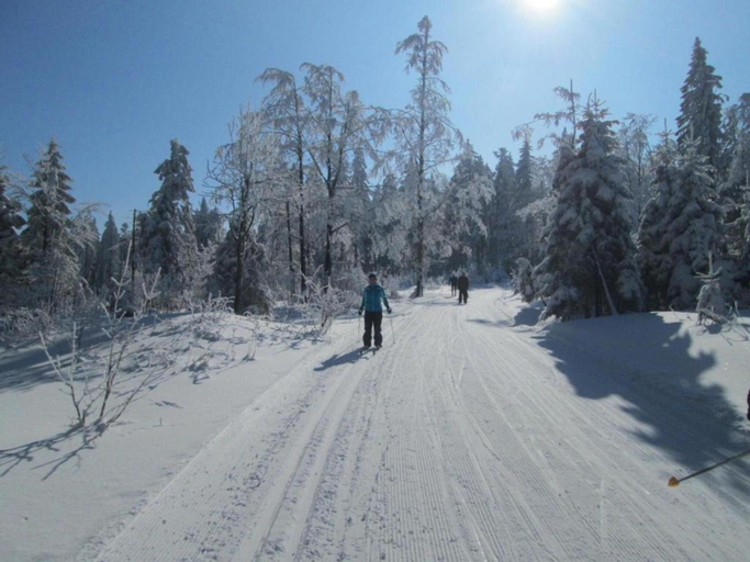 Others 4, Ferienhaus im Bayerischen Wald, Freyung-Grafenau