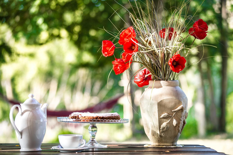 Food & Drinks 5, Molino Monacelli Country House, Pesaro E Urbino