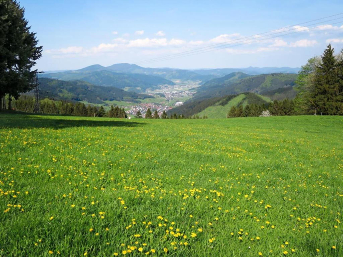 Others 5, Ferienwohnung in Schiltach, Rottweil