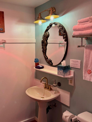 Bathroom 2, The Newport Belle, Lincoln