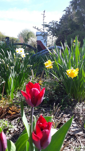Others 2, Folster Gardens Bed and Breakfast, Invercargill