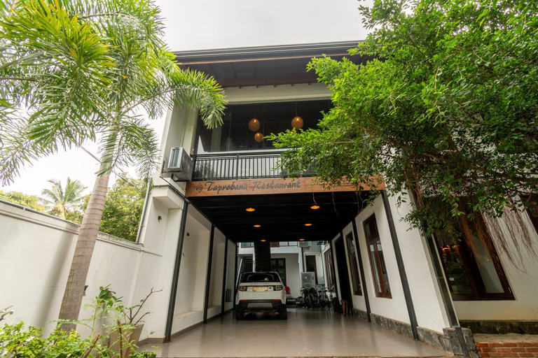 Others 5, Bella Vista, N. Palatha East