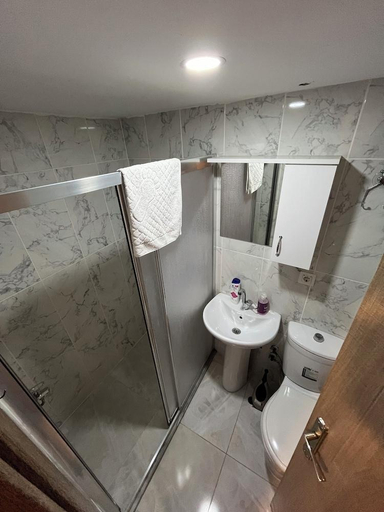 Bathroom 5, moonlight (AY IŞIĞI ), Merkez