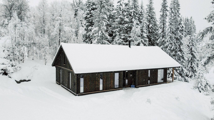 3, Modern Mountain Cabin - Sauna - 5 Bedrooms - Sleeps 10, Ål