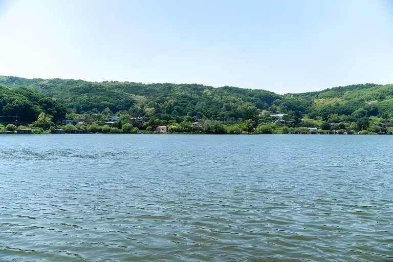 Others 5, Yongin Donggupark Pension, Yongin