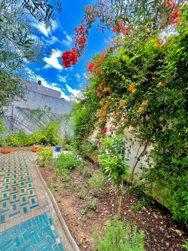 Sport & Beauty, Dar Jardin Majorelle Fez, Fès