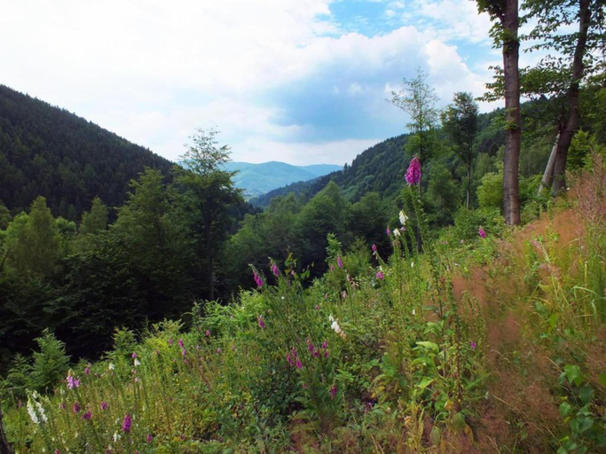 Others 5, Holiday Home Medenec near Alsovka Ski Slope, Chomutov