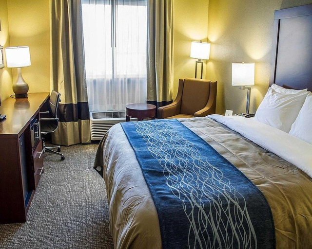 Bedroom 3, Comfort Inn Roseburg, Douglas