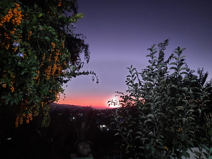 Others 4, Kalrav Kunj Homestay- 3BR Dwarahat BY Homeyhuts, Almora