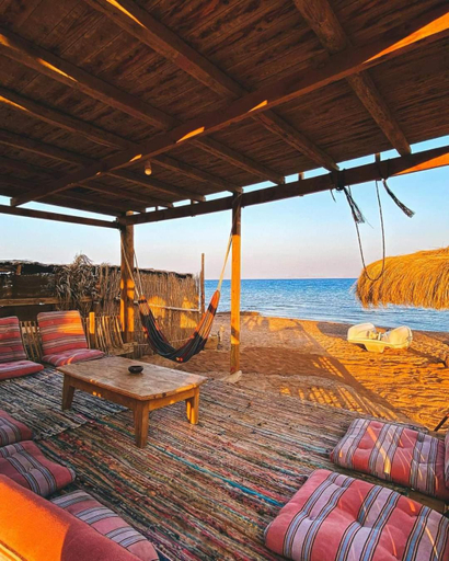 Food & Drinks 4, sea horse, Nuweiba'