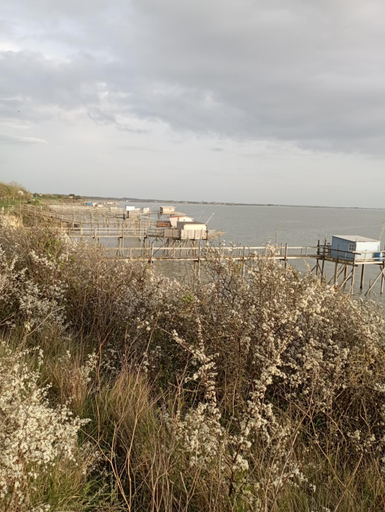 5, Chez Cathy et Jean loup, Charente-Maritime