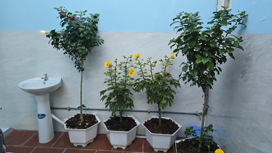 Balcony/terrace 3, Dan Family Homestay, Phan Thiết