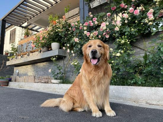 4, Jingguan Hanshe Guesthouse, Suzhou