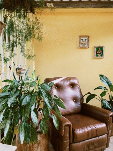 Others 5, Hostel Casarao, Viçosa