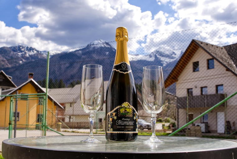 Food & Drinks, Apartma in studio Jerca ob Savi, Bohinj