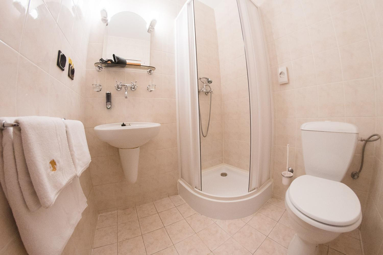 Bathroom 3, Penzion Panda, Turcianske Teplice