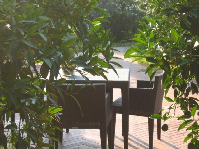 Others 4, Al Melograno - Room & Breakfast, Bologna