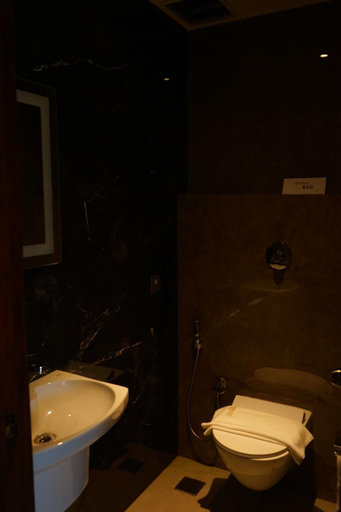 Bathroom 2, raj Regent Kurichy, Kottayam