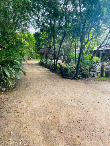Others 5, The Green Garden, Dambulla