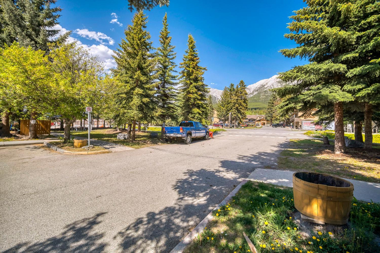 Others 2, Bow Valley Chalets-Entire 2 King Bedrooms townhouse, Division No. 15