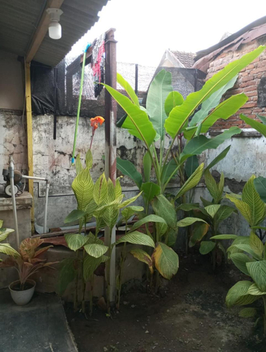 Others 4, Ijen & Sleep Homestay, Banyuwangi