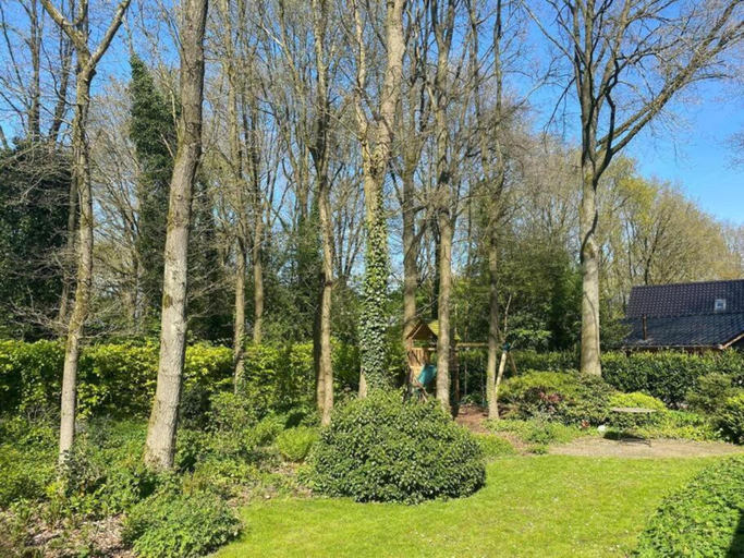 Others 4, Chalet in Dutch Park with Garden and Terrace, Westerveld