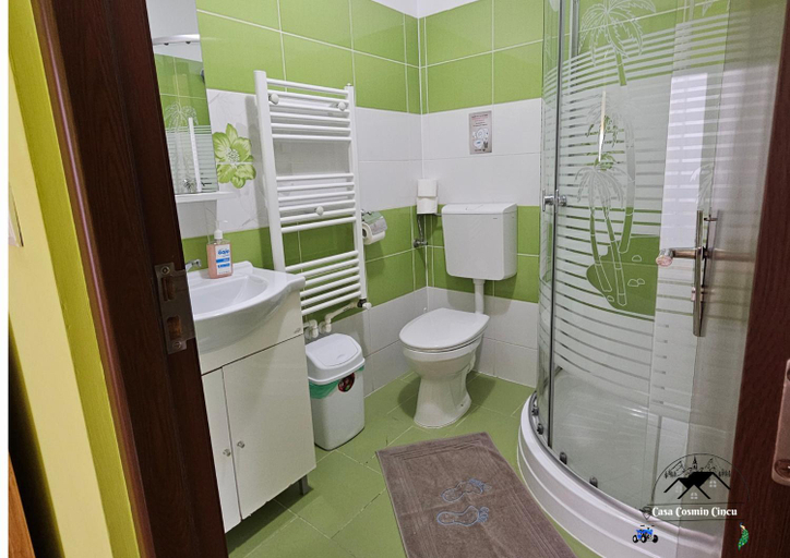 Bathroom 3, Casa Cosmin Cincu, Cincu