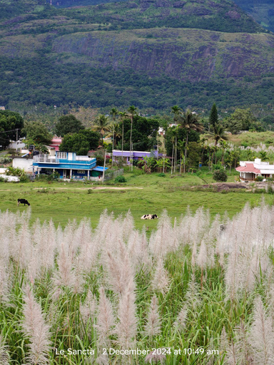 Others 4, Le Sancta homestay, Idukki