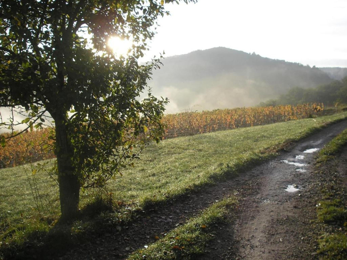 Others 5, Apartment in Rignac near Lake Peyrade, Aveyron