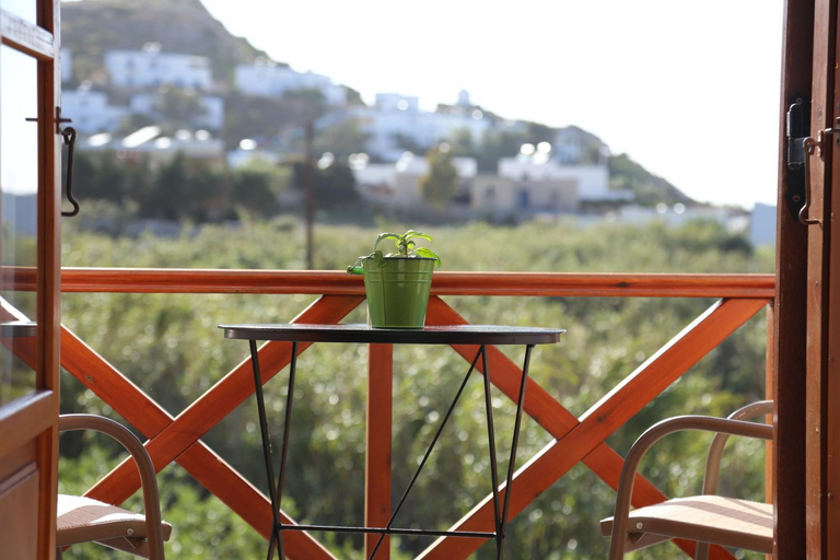 Others 3, Oasis Rooms & Studios in Galissas, South Aegean