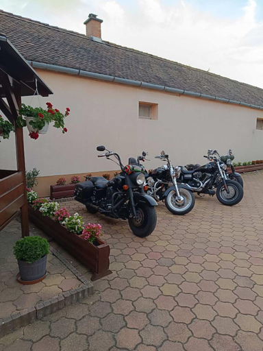 Others 5, Euro Panzio, Debrecen